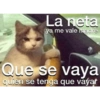 Memes Random Pt. 2 22
