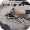 Animales 15