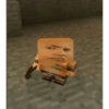 Minecraft  18