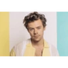 Harry style 8