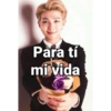 Kpop frase 23