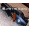 Memes Random Pt. 2 19