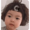 Coreana 6