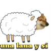 Verano de 2023 6