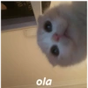 Memes Random Pt. 2 24