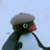 Dhoabskana 10