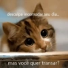 Frases safadas 24