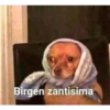 Animales 16