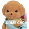 Emociones prácticas  24