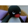 Dhoabskana 11