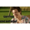 Harry style 14