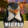 Pinguins maconhados 6