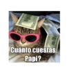 Mi novio 13