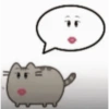❀ᮬ📝⣧ ᩡᩡ Memes!©️Pochis 6