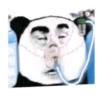 Chinese reaction panda 6