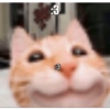 LOL 19