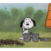 Snoopy 2  19