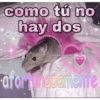 ❀ᮬ📝⣧ ᩡᩡ Memes!©️Pochis 20