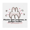 Mi novio 14