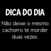 Frases icônicas 13