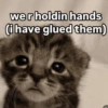 Cats 🐱 6