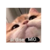Mi novio 12