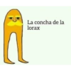 Random xd 12