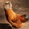 My stickers 14