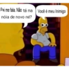 Cachorro 16