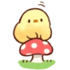 Pollito Floral 30
