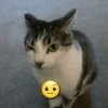 Omg 11