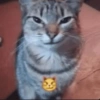 Omg 10