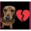 Omg 6