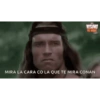 Momos (16) 6