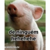 Porquinho 2 12