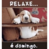 Feliz domingo 18