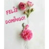 Feliz domingo 20