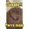 Trago 19