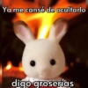 Linduras 8