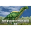 Aaaaaaaaaaaa 8