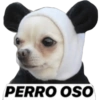 Perritos 1 16