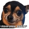 Perritos 1 6