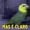 Normais 23