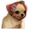 Perritos 1 18