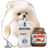 Perritos 1 7