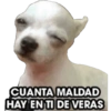 Perritos 1 21
