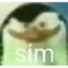 Nao pode ser 14