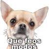 Perritos 1 15