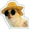 Perritos 1 23