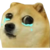 Perritos 1 9